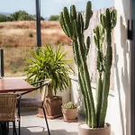 Апартаменты Cozy House - Chill Out